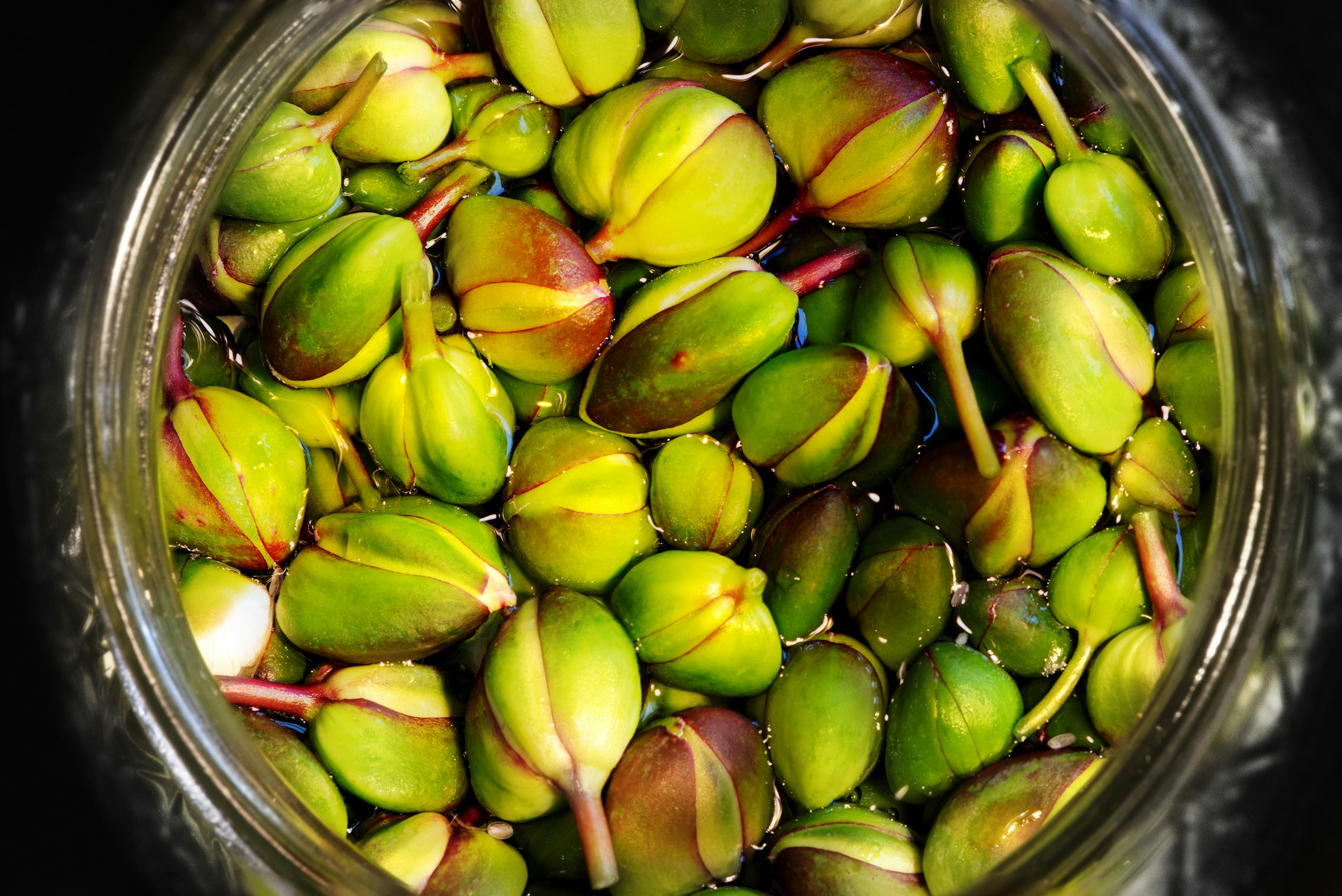 قبار في برطمان زجاجي
